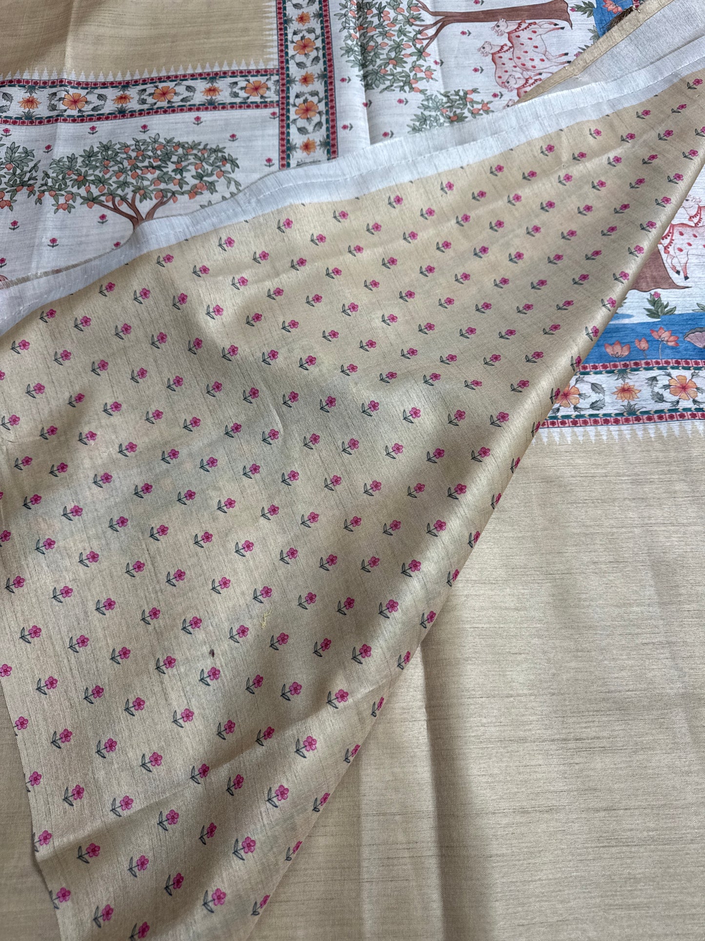 Fancy saree