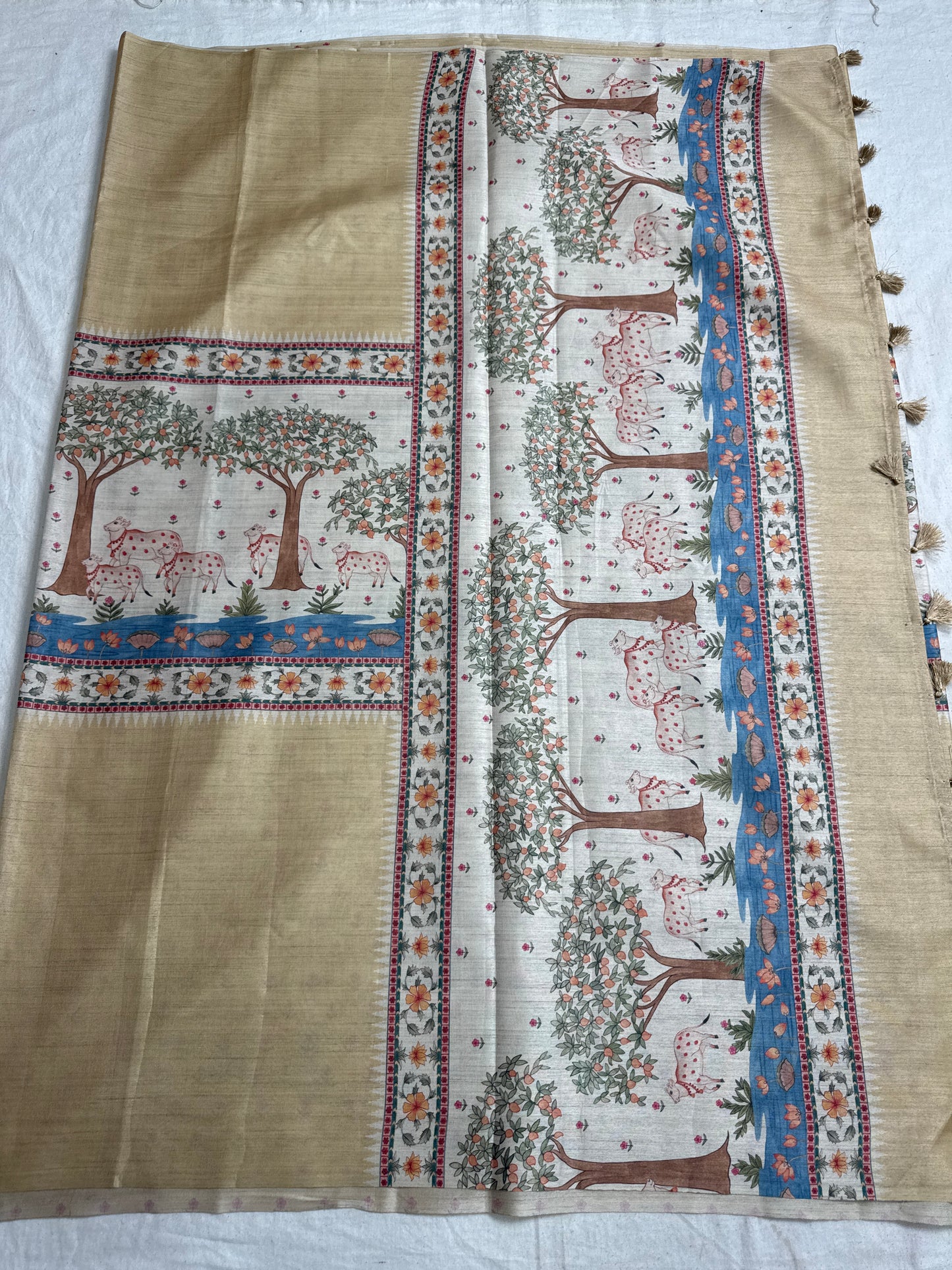 Fancy saree