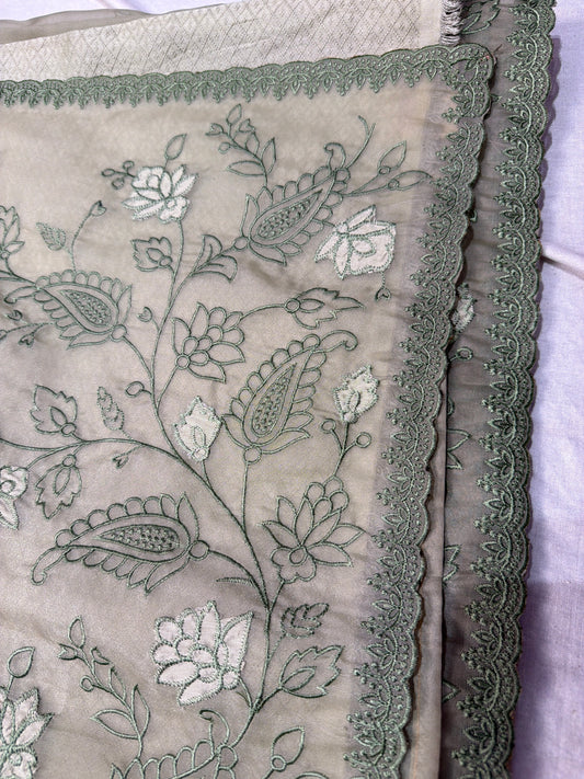 Organza Saree