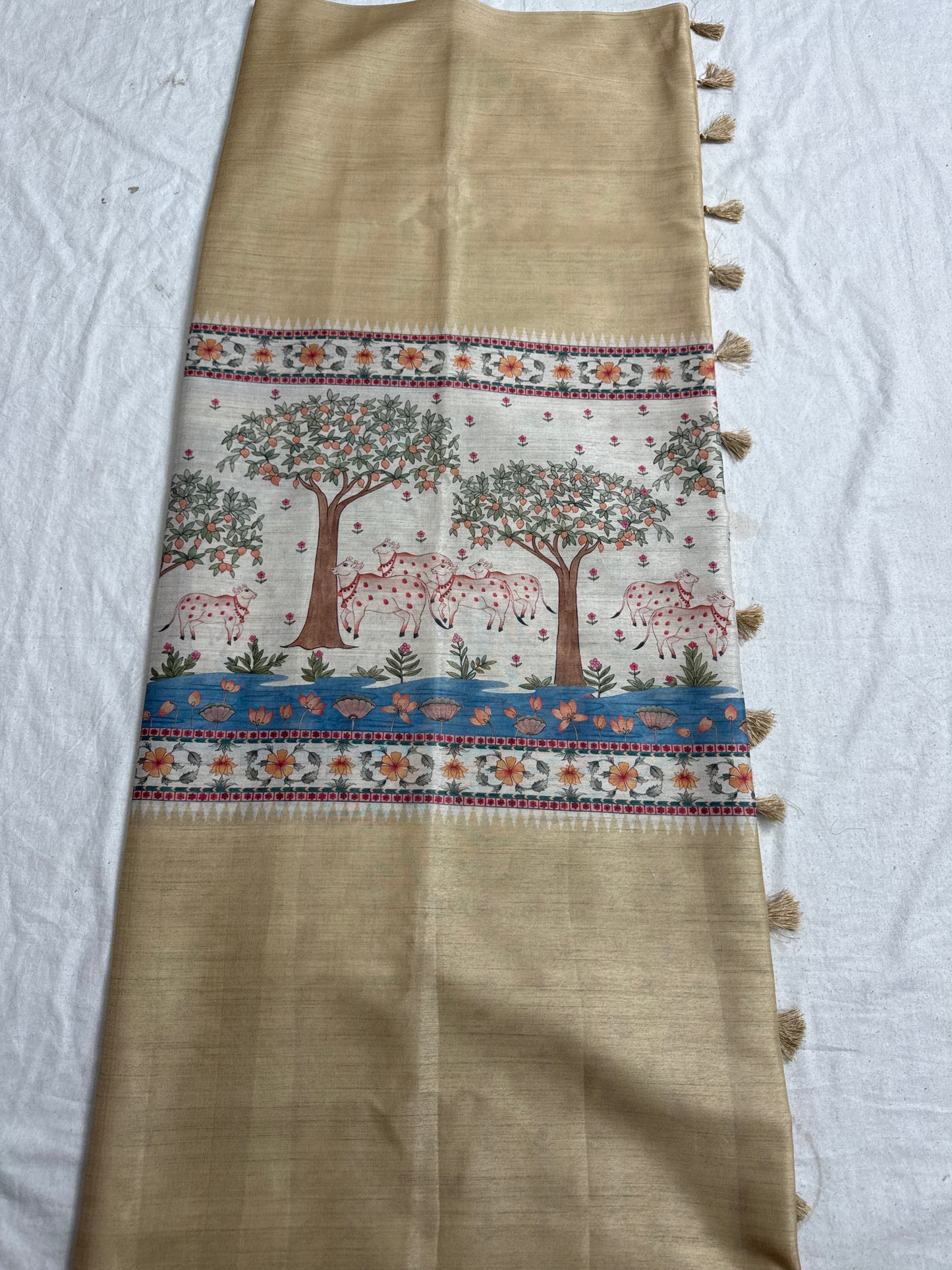 Fancy saree