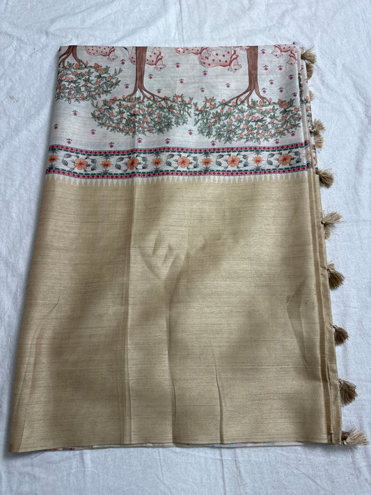 Fancy saree